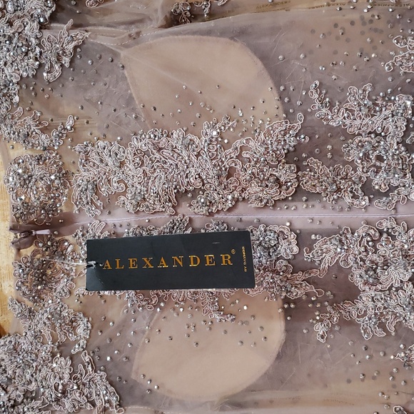 Alexander By Daymor NWT Clay Pink Beaded Lace Maxi Ball Gown Dress Size 6 #1157 - Picture 6 of 10